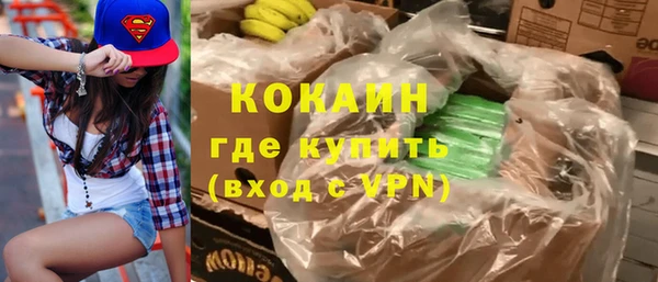 твердый Аркадак